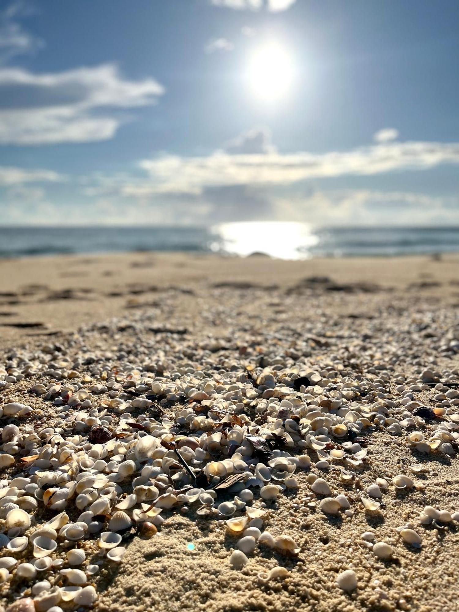 Vinh Hoa Robinson Beach Bungalow מראה חיצוני תמונה