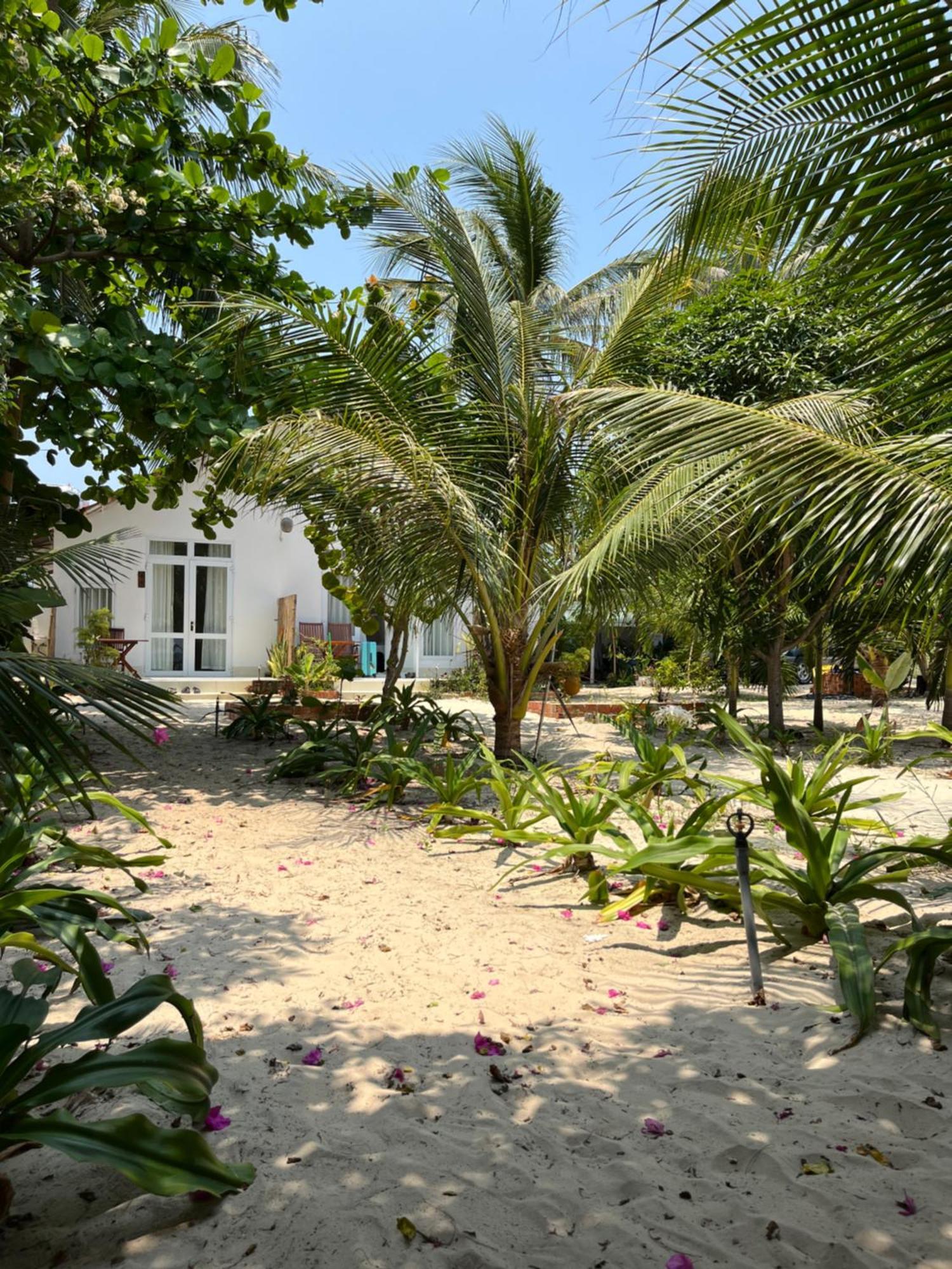 Vinh Hoa Robinson Beach Bungalow מראה חיצוני תמונה
