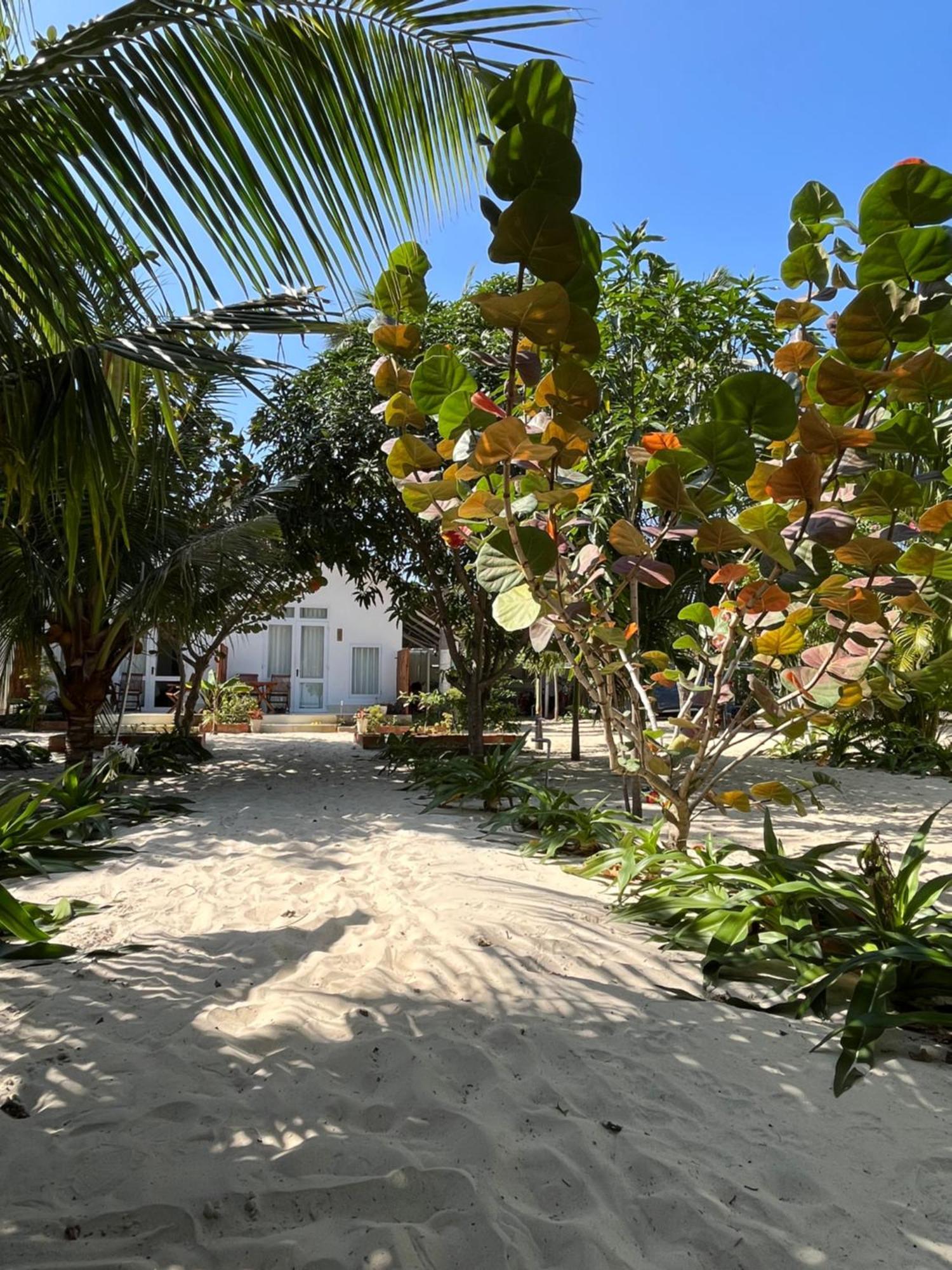 Vinh Hoa Robinson Beach Bungalow מראה חיצוני תמונה