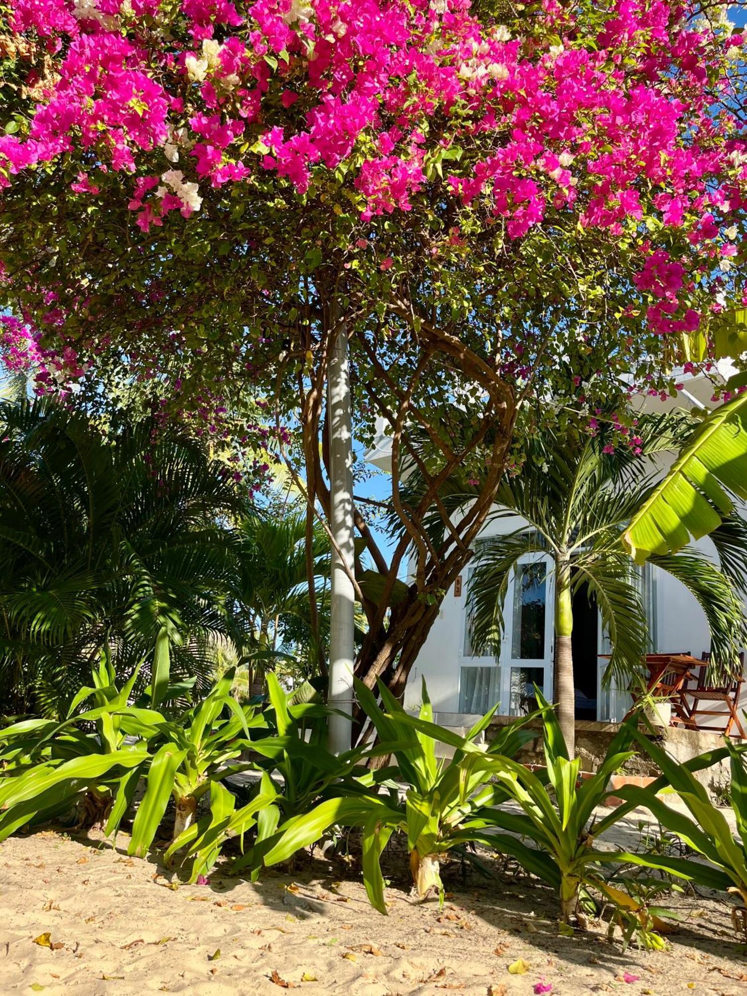 Vinh Hoa Robinson Beach Bungalow מראה חיצוני תמונה